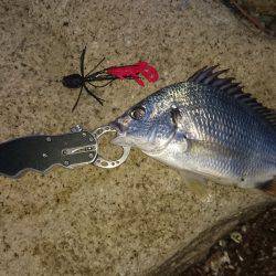 仕事帰りチニング